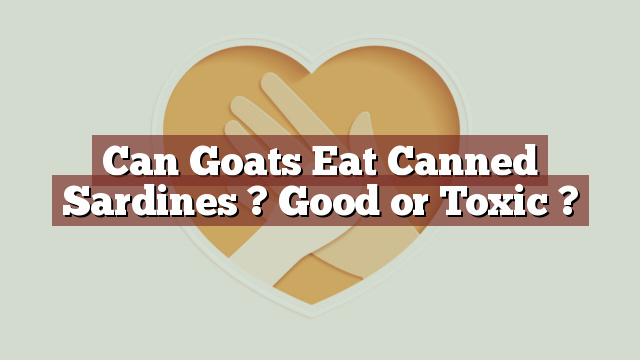 Can Goats Eat Canned Sardines ? Good or Toxic ?