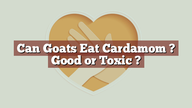 Can Goats Eat Cardamom ? Good or Toxic ?