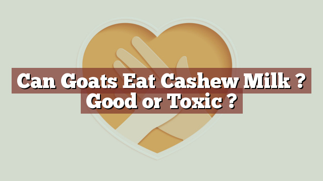 Can Goats Eat Cashew Milk ? Good or Toxic ?