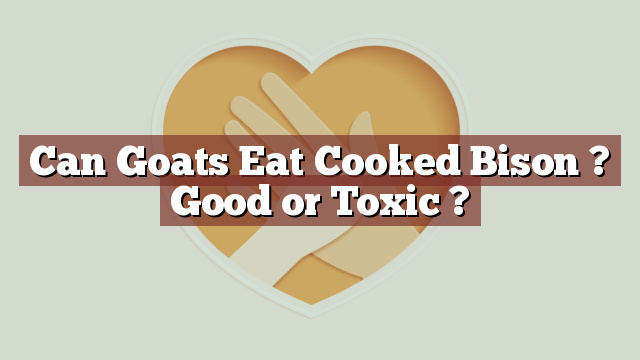 Can Goats Eat Cooked Bison ? Good or Toxic ?