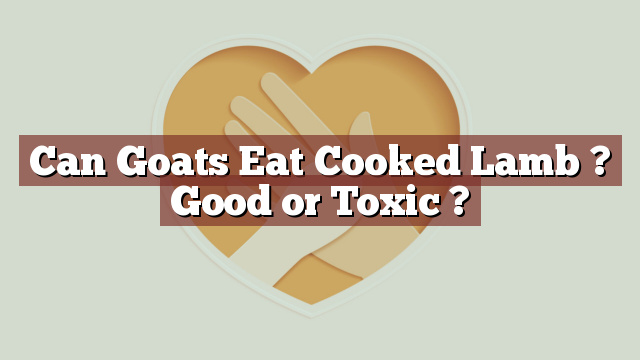 Can Goats Eat Cooked Lamb ? Good or Toxic ?