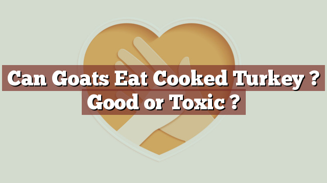 Can Goats Eat Cooked Turkey ? Good or Toxic ?