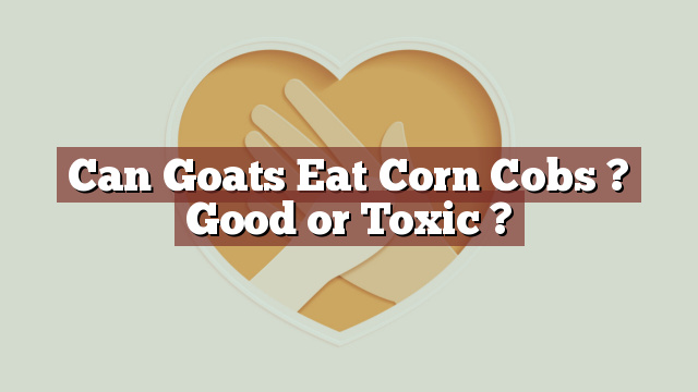 Can Goats Eat Corn Cobs ? Good or Toxic ?