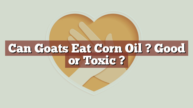 Can Goats Eat Corn Oil ? Good or Toxic ?