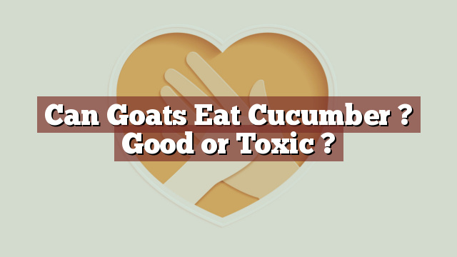 Can Goats Eat Cucumber ? Good or Toxic ?