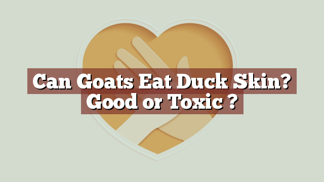 Can Goats Eat Duck Skin? Good or Toxic ?