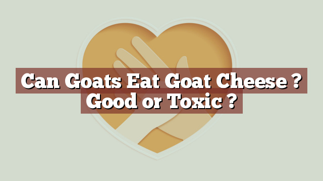 Can Goats Eat Goat Cheese ? Good or Toxic ?