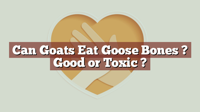 Can Goats Eat Goose Bones ? Good or Toxic ?