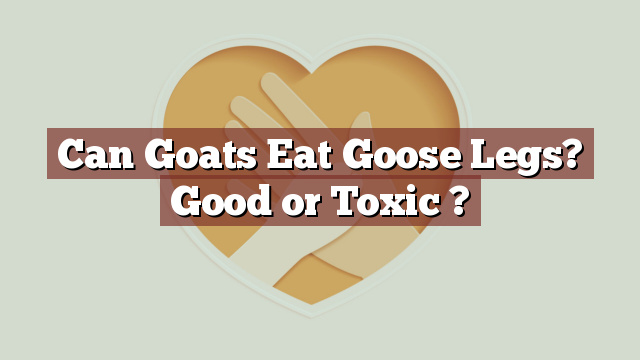 Can Goats Eat Goose Legs? Good or Toxic ?
