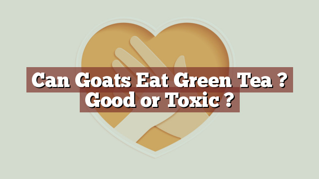 Can Goats Eat Green Tea ? Good or Toxic ?