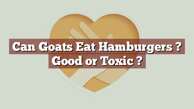 Can Goats Eat Hamburgers ? Good or Toxic ?