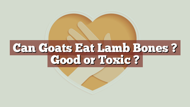 Can Goats Eat Lamb Bones ? Good or Toxic ?