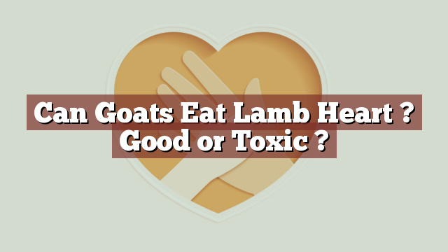 Can Goats Eat Lamb Heart ? Good or Toxic ?