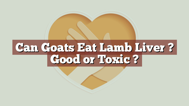 Can Goats Eat Lamb Liver ? Good or Toxic ?