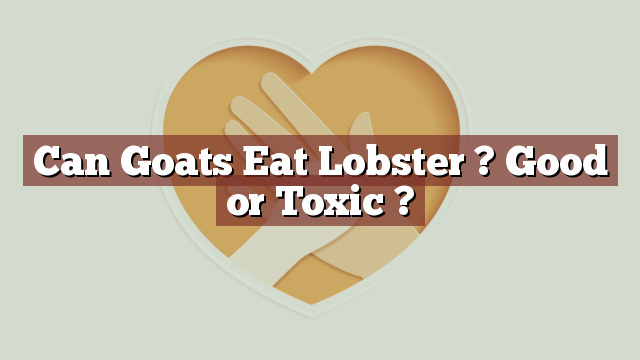 Can Goats Eat Lobster ? Good or Toxic ?