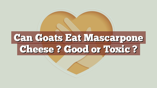 Can Goats Eat Mascarpone Cheese ? Good or Toxic ?