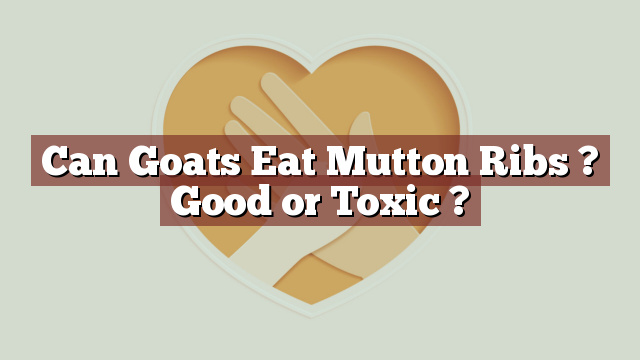 Can Goats Eat Mutton Ribs ? Good or Toxic ?