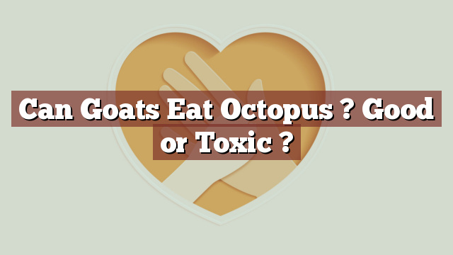 Can Goats Eat Octopus ? Good or Toxic ?