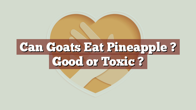 Can Goats Eat Pineapple ? Good or Toxic ?