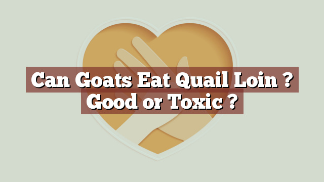 Can Goats Eat Quail Loin ? Good or Toxic ?