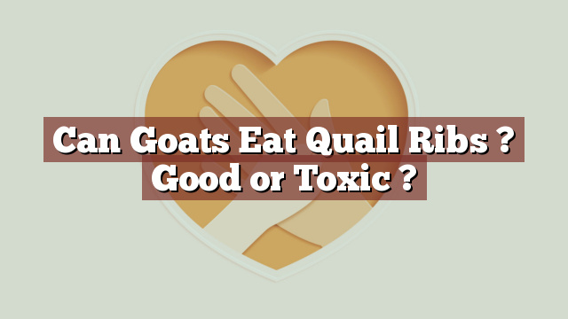 Can Goats Eat Quail Ribs ? Good or Toxic ?