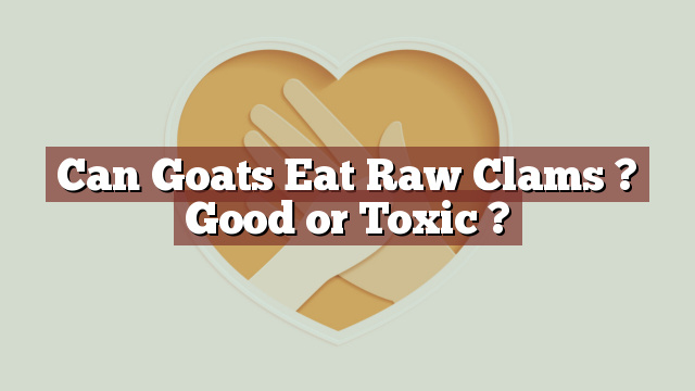 Can Goats Eat Raw Clams ? Good or Toxic ?