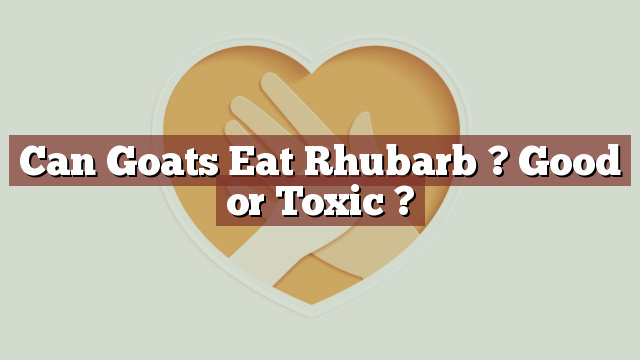 Can Goats Eat Rhubarb ? Good or Toxic ?