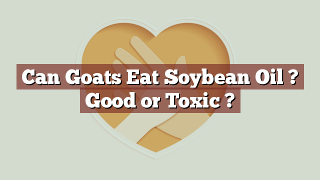 Can Goats Eat Soybean Oil ? Good or Toxic ?