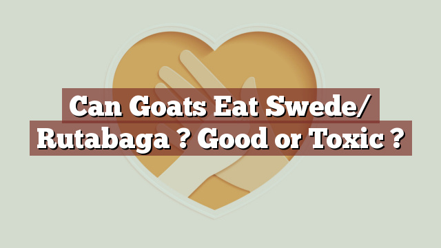 Can Goats Eat Swede/ Rutabaga ? Good or Toxic ?