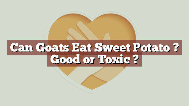 Can Goats Eat Sweet Potato ? Good or Toxic ?