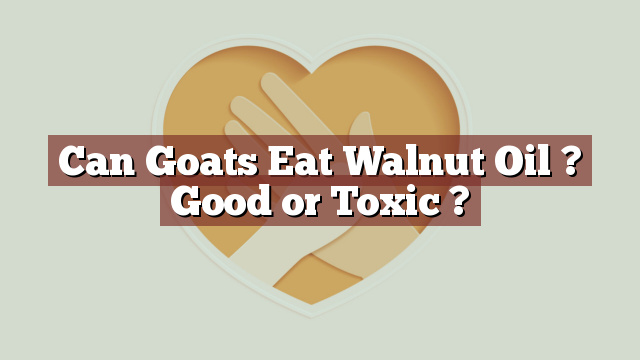 Can Goats Eat Walnut Oil ? Good or Toxic ?