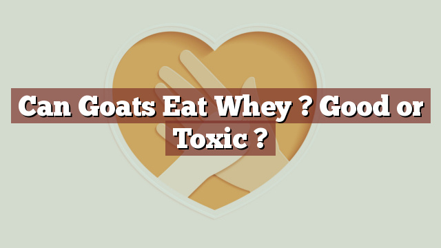 Can Goats Eat Whey ? Good or Toxic ?