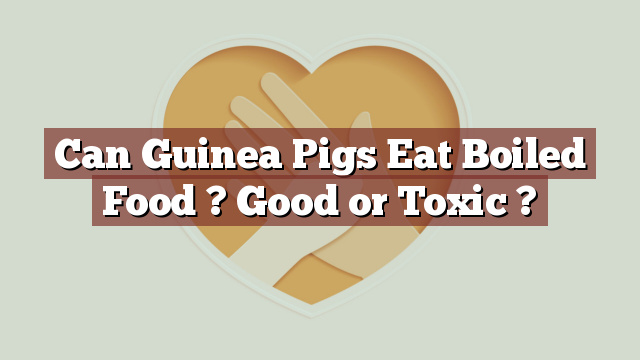 Can Guinea Pigs Eat Boiled Food ? Good or Toxic ?