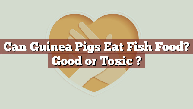 Can Guinea Pigs Eat Fish Food? Good or Toxic ?