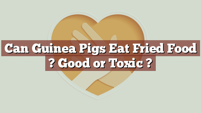 Can Guinea Pigs Eat Fried Food ? Good or Toxic ?