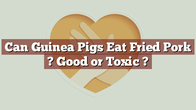 Can Guinea Pigs Eat Fried Pork ? Good or Toxic ?