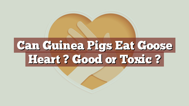 Can Guinea Pigs Eat Goose Heart ? Good or Toxic ?