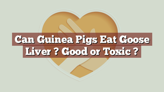 Can Guinea Pigs Eat Goose Liver ? Good or Toxic ?