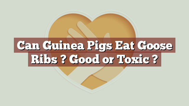 Can Guinea Pigs Eat Goose Ribs ? Good or Toxic ?
