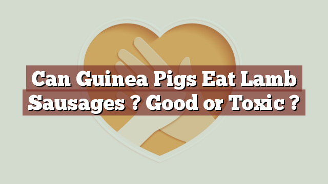 Can Guinea Pigs Eat Lamb Sausages ? Good or Toxic ?