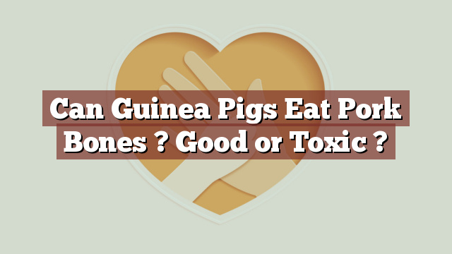 Can Guinea Pigs Eat Pork Bones ? Good or Toxic ?