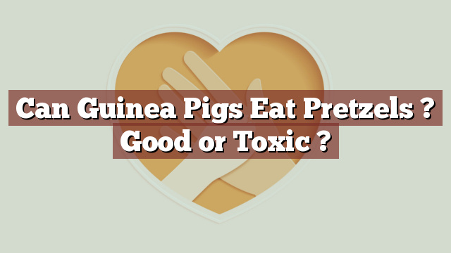Can Guinea Pigs Eat Pretzels ? Good or Toxic ?