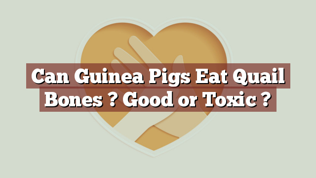 Can Guinea Pigs Eat Quail Bones ? Good or Toxic ?