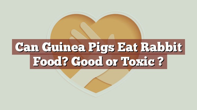 Can Guinea Pigs Eat Rabbit Food? Good or Toxic ?