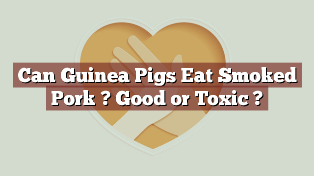 Can Guinea Pigs Eat Smoked Pork ? Good or Toxic ?