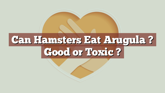 Can Hamsters Eat Arugula ? Good or Toxic ?