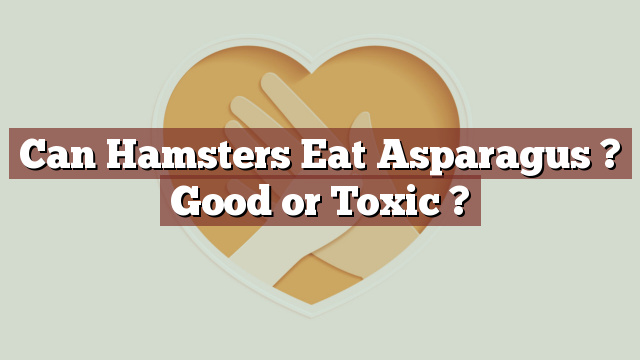 Can Hamsters Eat Asparagus ? Good or Toxic ?
