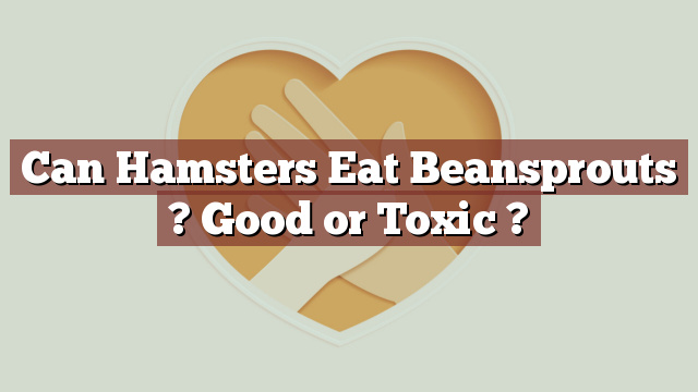 Can Hamsters Eat Beansprouts ? Good or Toxic ?