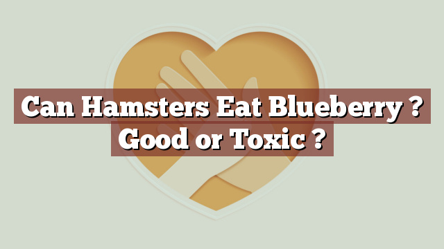 Can Hamsters Eat Blueberry ? Good or Toxic ?
