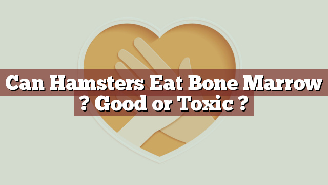 Can Hamsters Eat Bone Marrow ? Good or Toxic ?